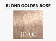 Blond Golden Rose