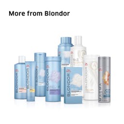 BLONDOR FREELIGHTS DVLPER 6% 1L