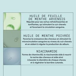 Kit Antipelliculaire, Nioxin, 500ml