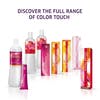 COLOR TOUCH DEEP BROWNS 10/73 60ML